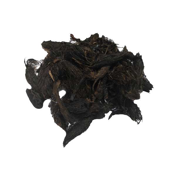 سنبل الطیب