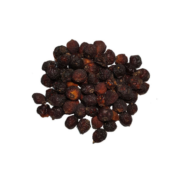 میوه نسترن