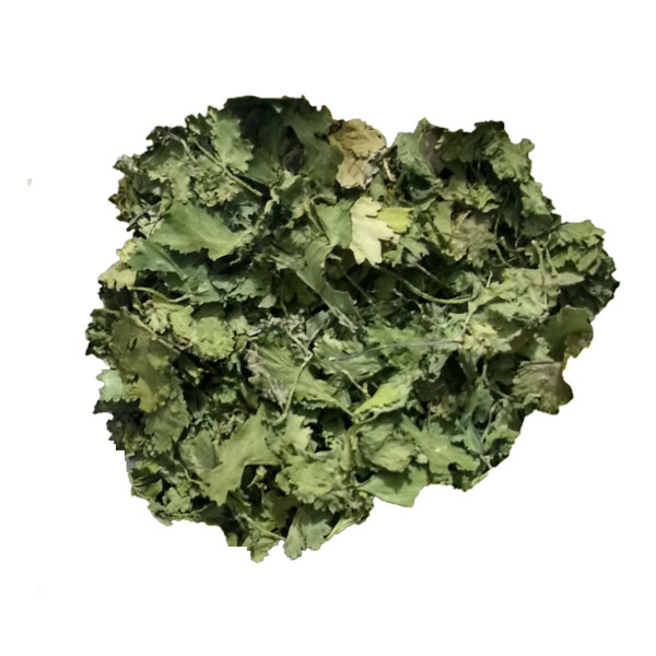 گشنیز