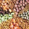 صفحه اصلی